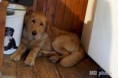 /album/fotogalerie-albus/albus-predani-pp-jpg/